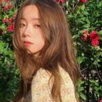 Profile picture of yediv yediv