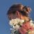 Profile picture of bomona bomona